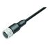 2 meter Stepper Oscillation Motor Cable for EOT-4