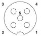 6085-6 Device connector rear mounting - SACC-5P-DSI-M12MSFS-M16 - 1551671 Pins2